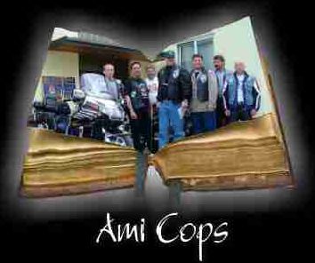 Ami Cops